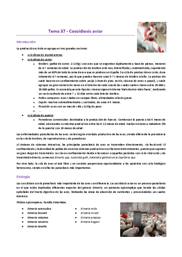 Miniatura del documento Tema-37EP.-Aves.pdf