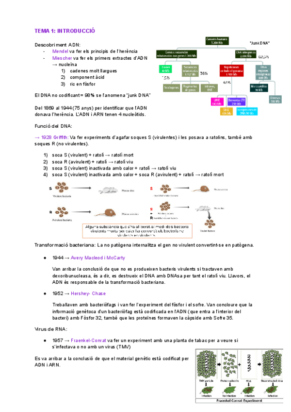 Miniatura del documento biomol-1r-parcial.pdf
