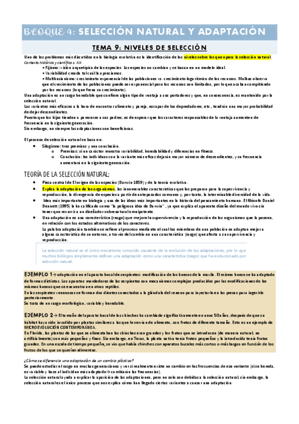 Miniatura del documento TEMA-9.-NIVELES-DE-SELECCION.pdf