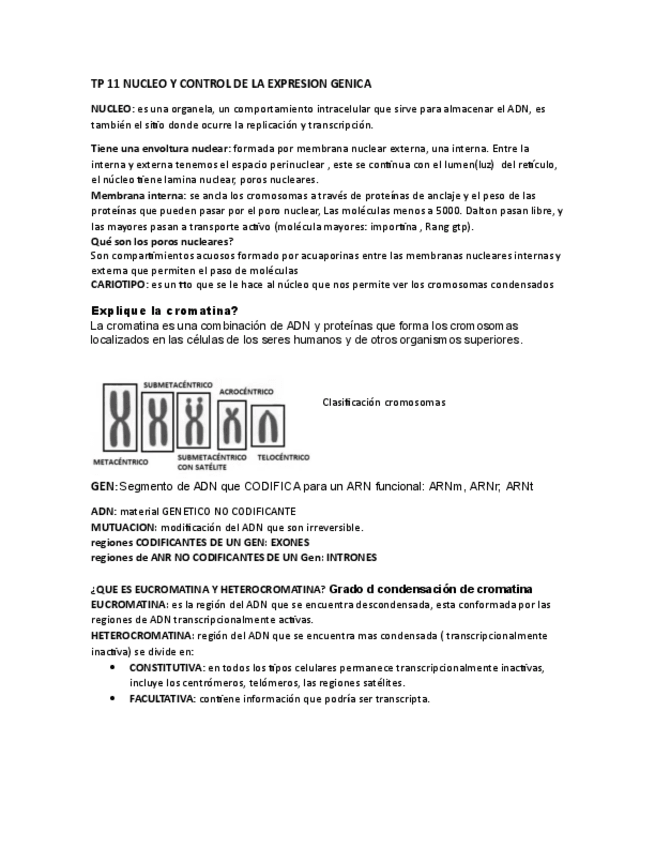Miniatura del documento TP-11-NUCLEO-Y-CONTROL-DE-LA-EXPRESION-GENICA-ULTIMA-A-EST.pdf