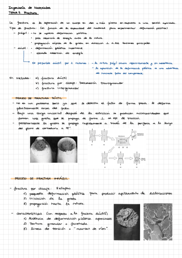 Miniatura del documento Tema-7-Ingenieria-de-Materiales.pdf
