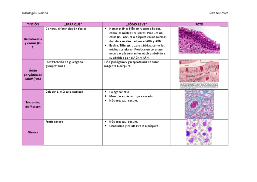 Miniatura del documento TINCIONES-en-histologia.pdf