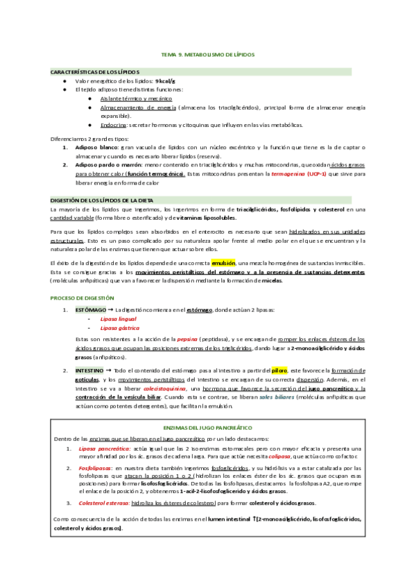 Miniatura del documento T9-METABOLISMO-DE-LOS-LIPIDOS.pdf