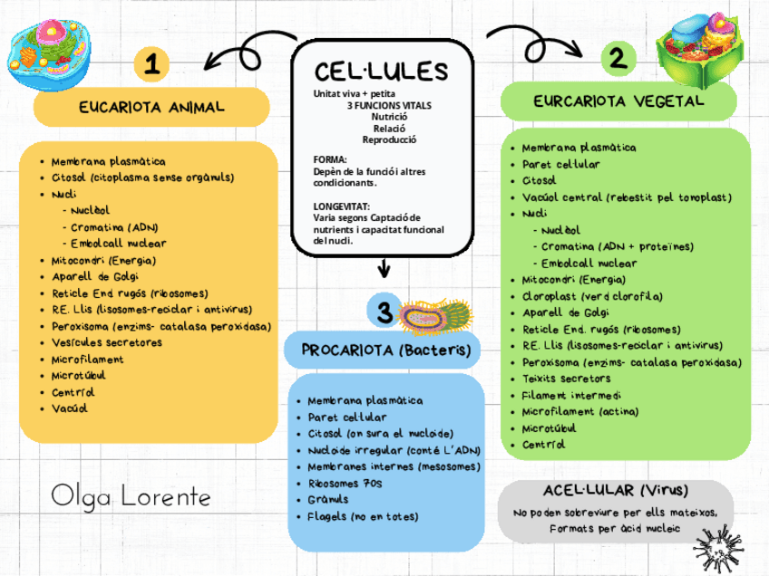 Miniatura del documento LA-CELLULA-MAPA-CONCEPTUAL.pdf