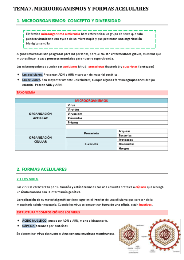 Miniatura del documento tema-7.-microorganismos-y-formas-acelulares.pdf
