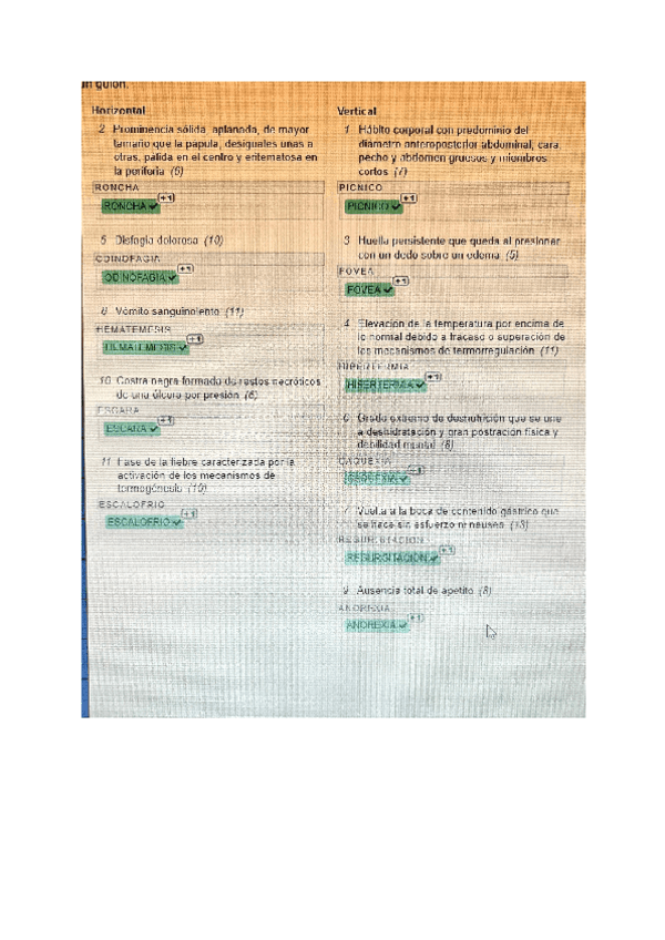 Miniatura del documento Crucigrama-Patron-2-2024-TEMA-9.pdf