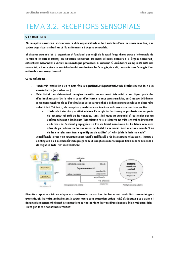 Miniatura del documento Tema-3.2.-Receptors-sensorials.pdf