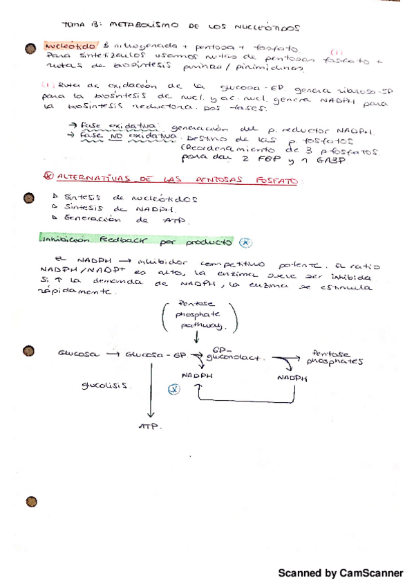 Miniatura del documento T13.Metabolismo de nucleotidos-20180912163231.pdf