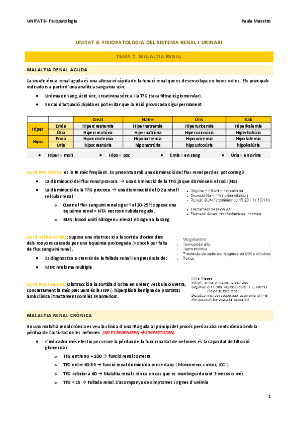 Miniatura del documento UNITAT-8.7-Fisiopatologia.pdf