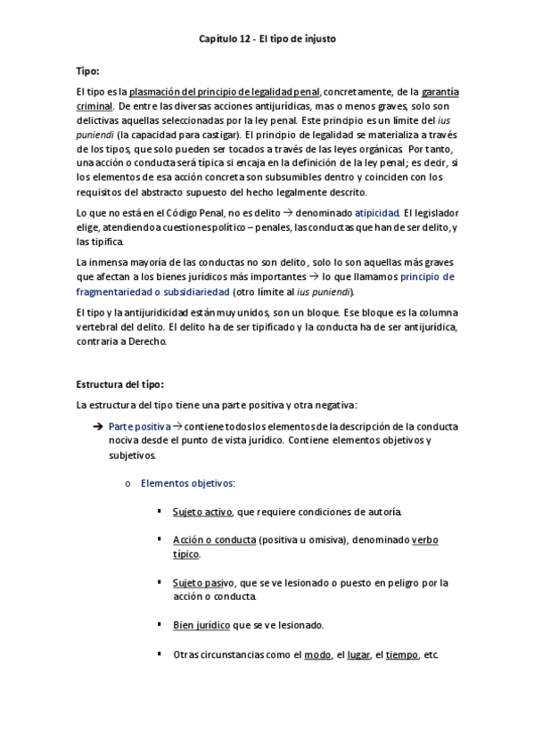 Miniatura del documento Capitulo-12-El-tipo-de-injusto.pdf