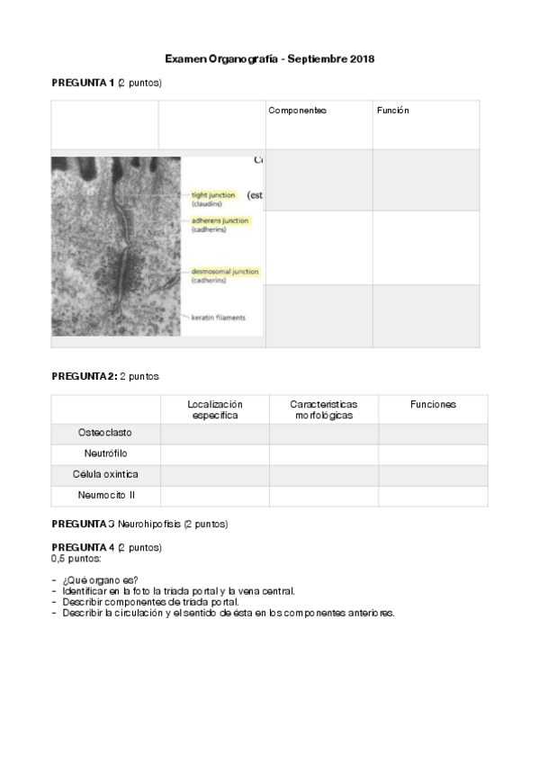 Miniatura del documento Examen septiembre 18.pdf