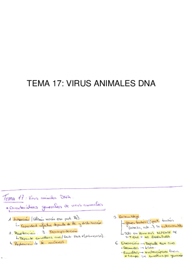Miniatura del documento Tema-17-Virus-animales-DNA.pdf