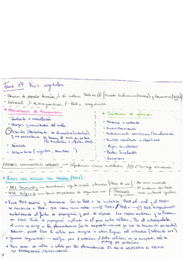 Miniatura del documento Tema-19-Virus-vegetales.pdf