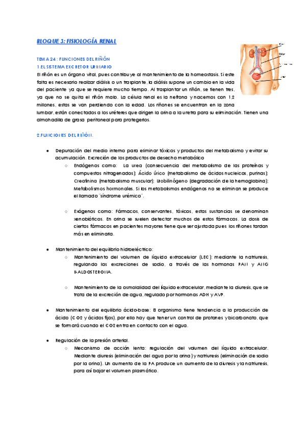 Miniatura del documento bloque-3-fisiologia-renal.pdf
