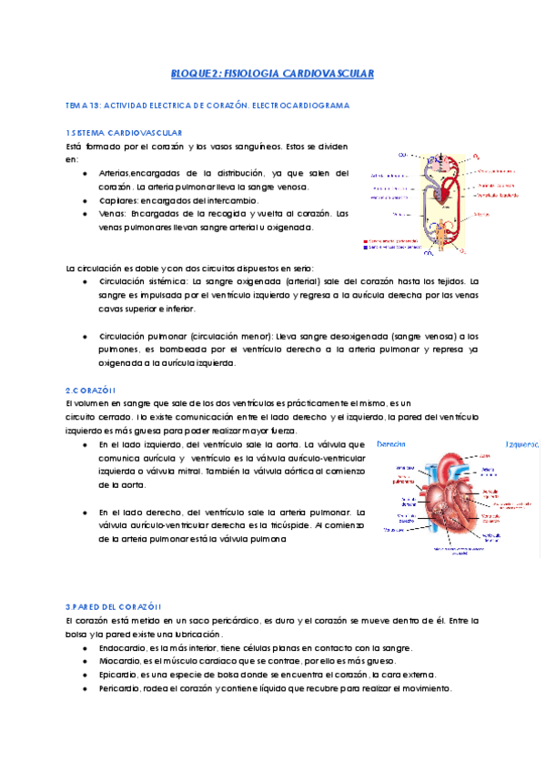 Miniatura del documento bloque-2-fisiologia-cardiovascular.pdf