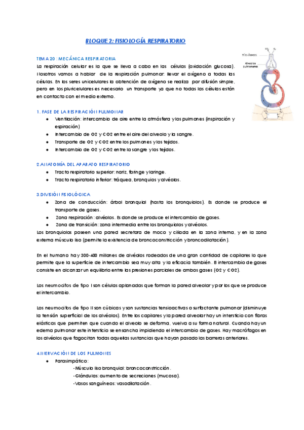 Miniatura del documento bloque-2-fisiologia-respiratoria.pdf