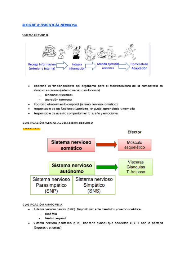 Miniatura del documento bloque-4-fisiologia-nerviosa.pdf