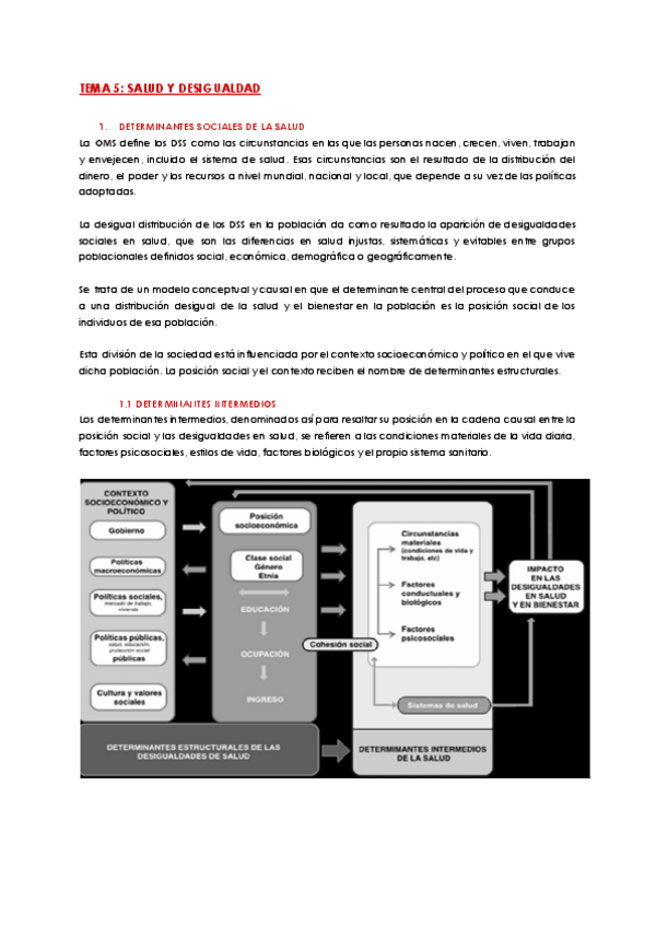 Miniatura del documento tema-5-salud-y-desigualdad.pdf