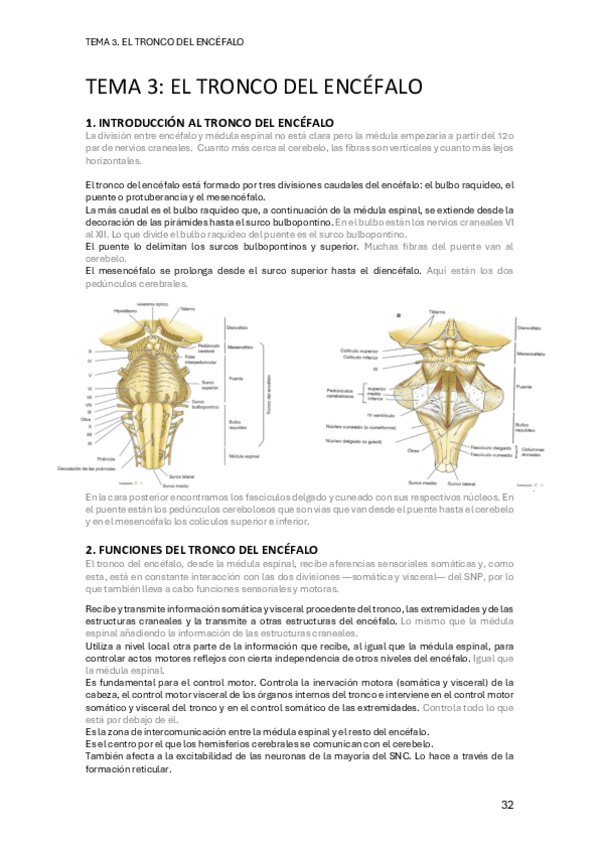 Miniatura del documento PSICOBIOLOGIA-TEMA-3.pdf
