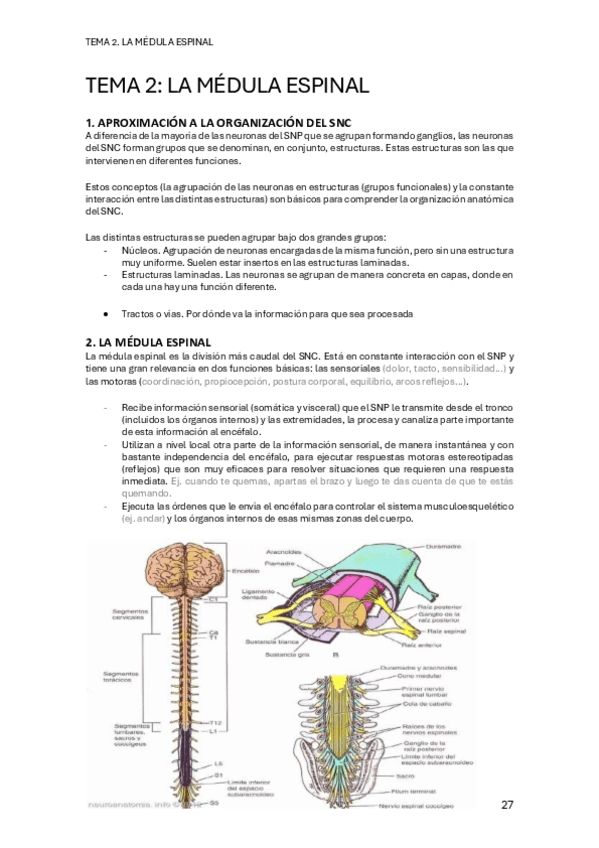 Miniatura del documento PSICOBIOLOGIA-II-TEMA-2.pdf