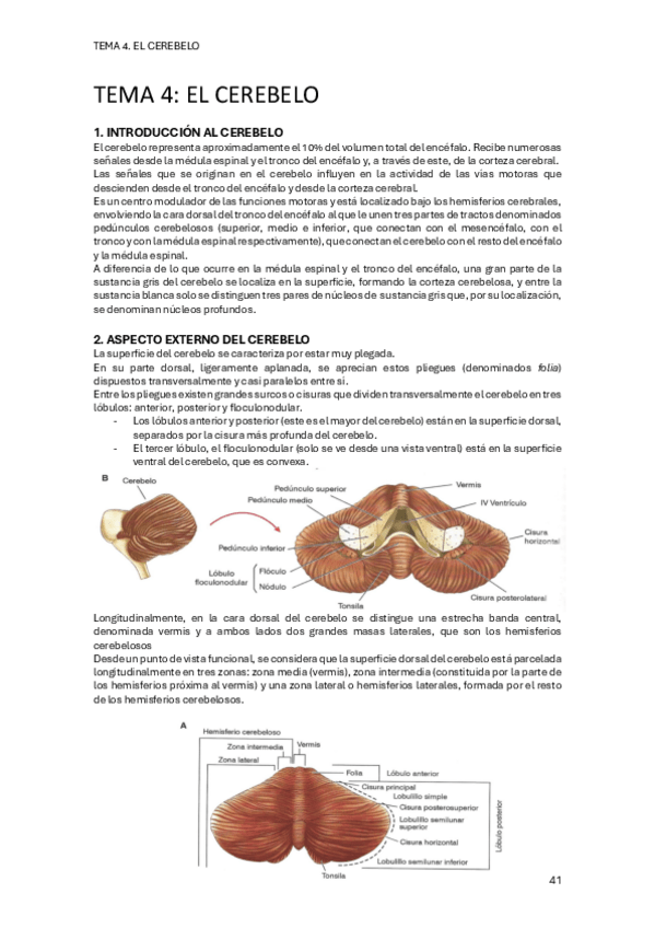 Miniatura del documento PSICOBIOLOGIA-II-TEMA-4.pdf