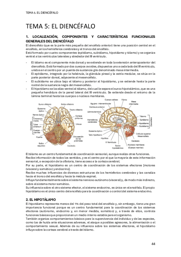 Miniatura del documento PSICOBIOLOGIA-II-TEMA-5.pdf