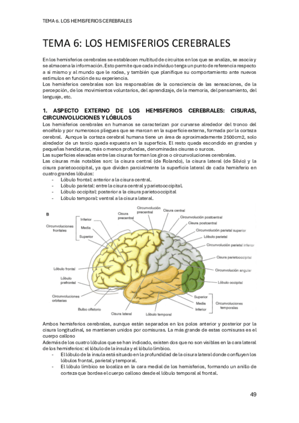 Miniatura del documento PSICOBIOLOGIA-II-TEMA-6.pdf