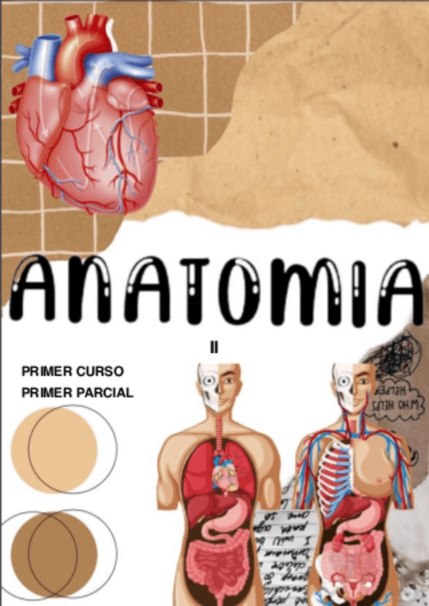 Miniatura del documento Introduccion-a-la-endocrinologia-1.pdf