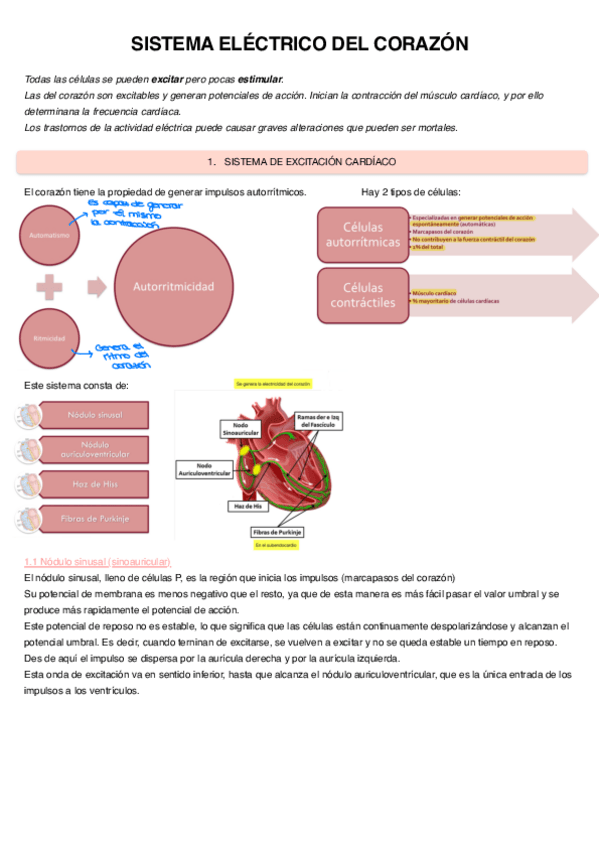 Miniatura del documento Sistema-electrico-del-corazon-9.pdf