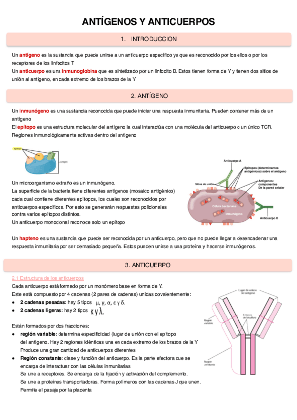 Miniatura del documento Antigenos-y-anticuerpos-3.pdf