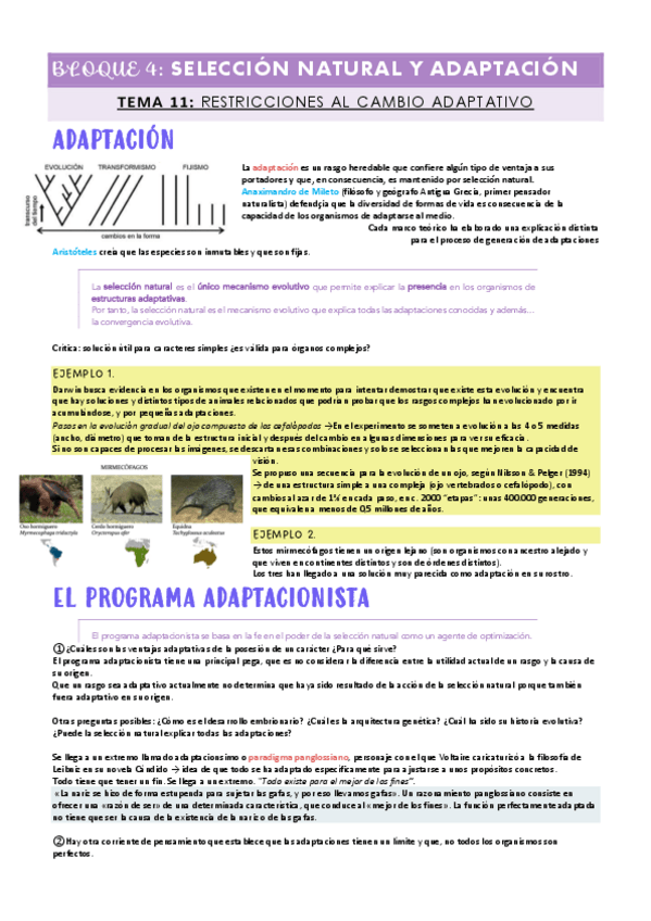 Miniatura del documento TEMA-11-RESTRICCIONES-AL-CAMBIO-ADAPTATIVO.pdf