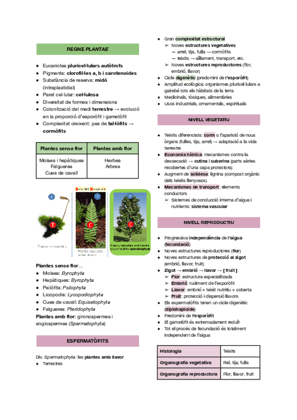 Miniatura del documento HISTOLOGIA.pdf