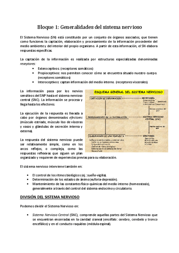 Miniatura del documento Apuntes-Neurobiologia-completos.pdf