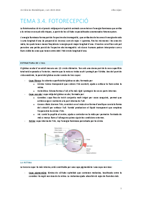 Miniatura del documento Tema-3.4.-Fotorecepcio.pdf