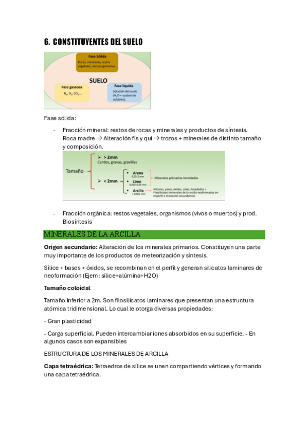 Miniatura del documento 6-Constituyentes.pdf