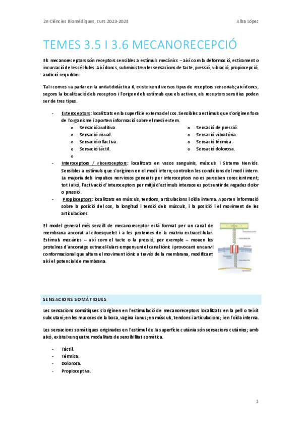 Miniatura del documento Tema-3.5-Mecanorecepcio-I.pdf