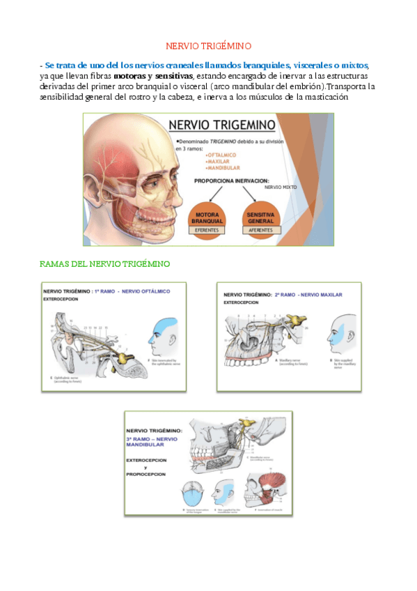 Miniatura del documento Tema-6.pdf