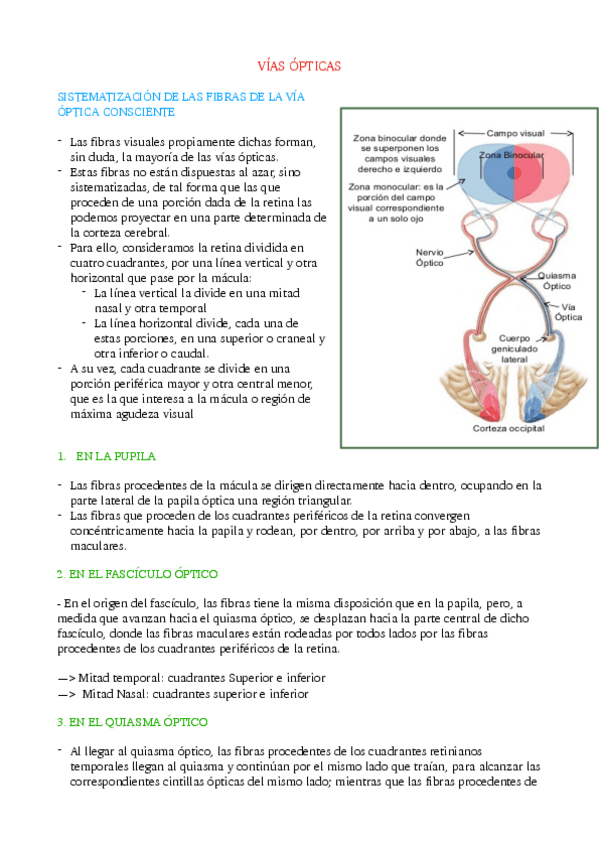 Miniatura del documento Tema-5.pdf