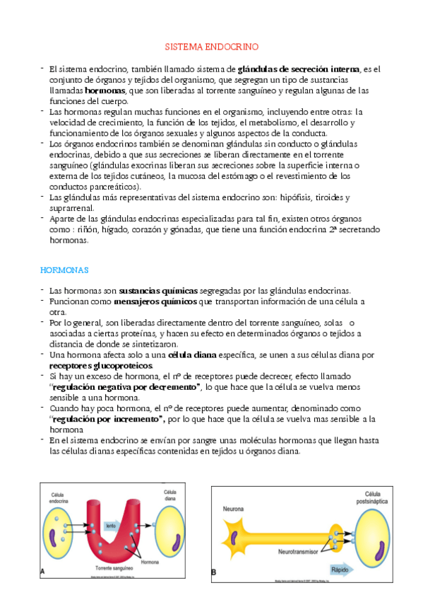 Miniatura del documento Tema-1.pdf