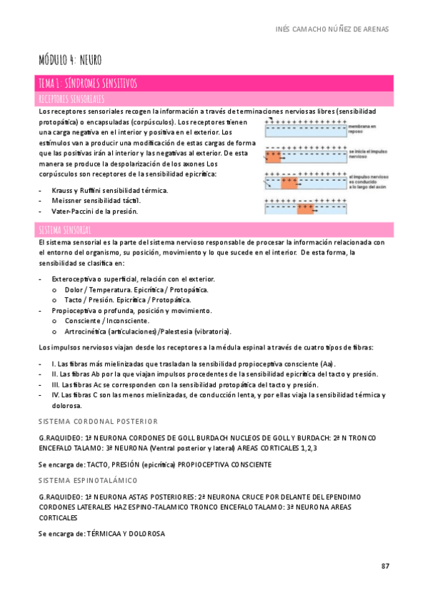 Miniatura del documento APUNTES-SEMIOLOGIA-M4-ENTERO.pdf
