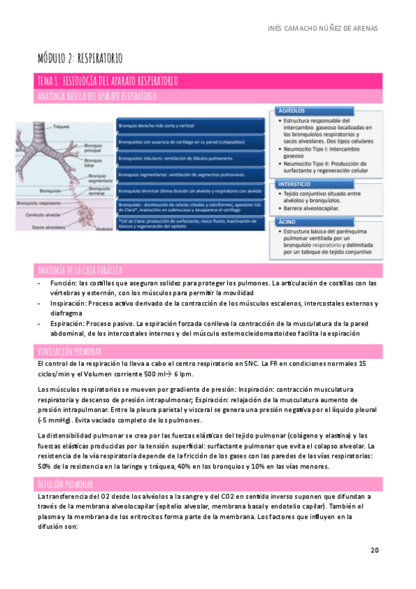 Miniatura del documento APUNTES-SEMIOLOGIA-T1-M2.pdf