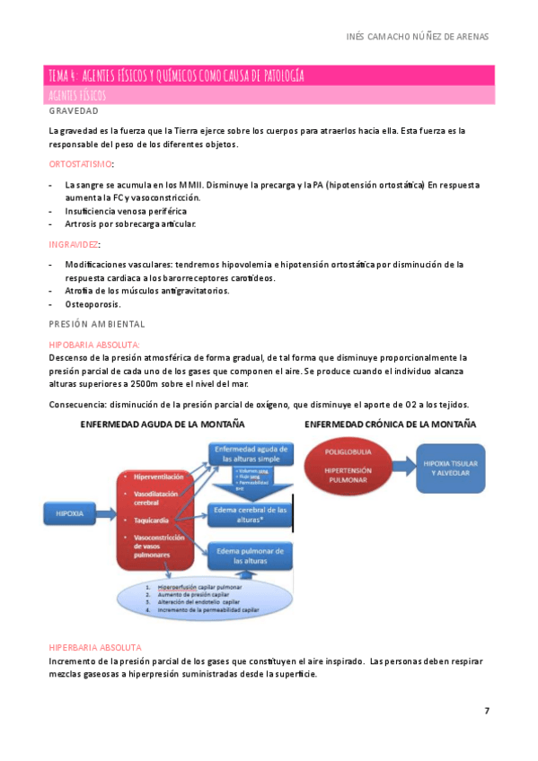 Miniatura del documento APUNTES-SEMIOLOGIA-T4-M1.pdf