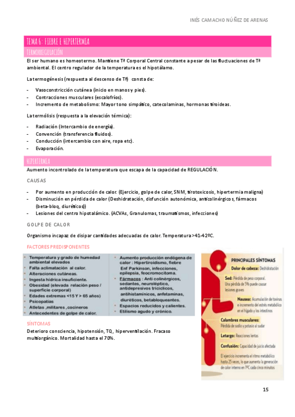 Miniatura del documento APUNTES-SEMIOLOGIA-T6-M1.pdf