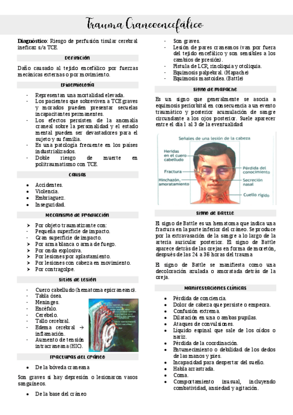 Miniatura del documento Trauma-craneoencefalico.pdf