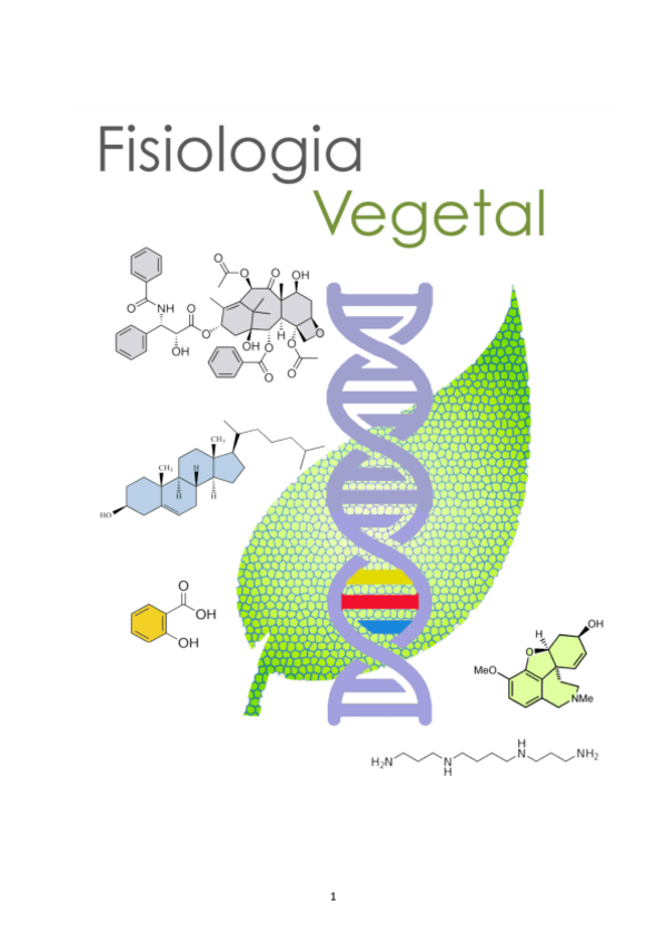 Miniatura del documento Apuntes-vegetal-2022-23.pdf