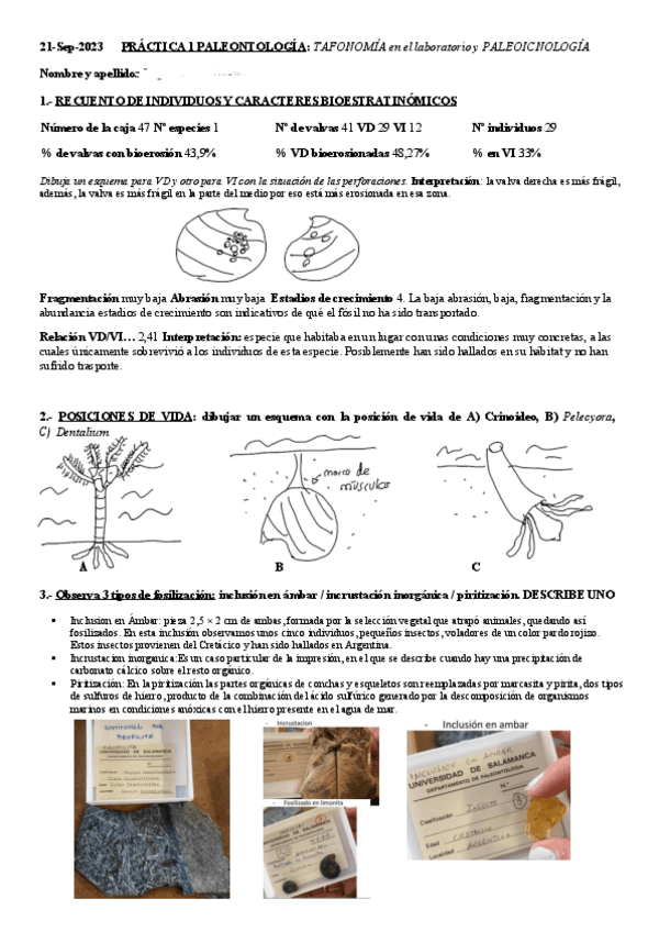 Miniatura del documento Practicas-paleo.pdf