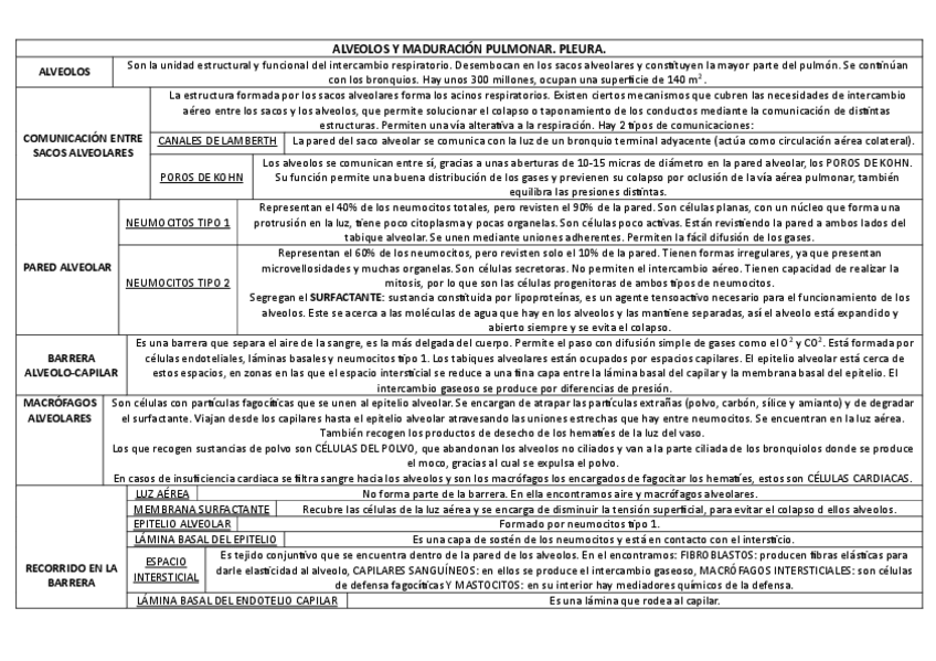 Miniatura del documento ALVEOLOS-Y-MADURACION-PULMONAR.pdf