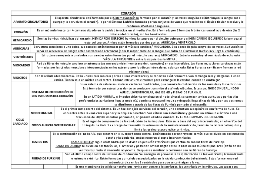 Miniatura del documento CORAZON.pdf