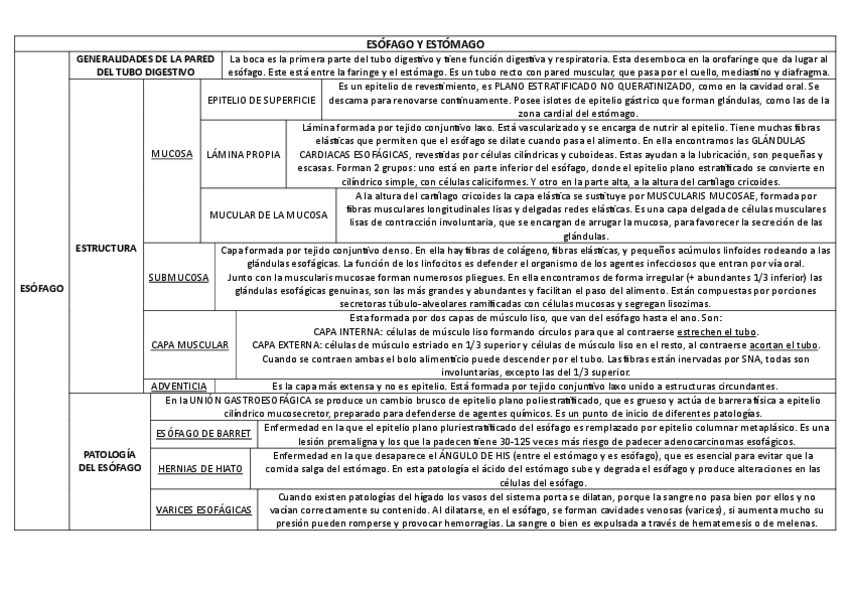 Miniatura del documento ESOFAGO-Y-ESTOMAGO.pdf