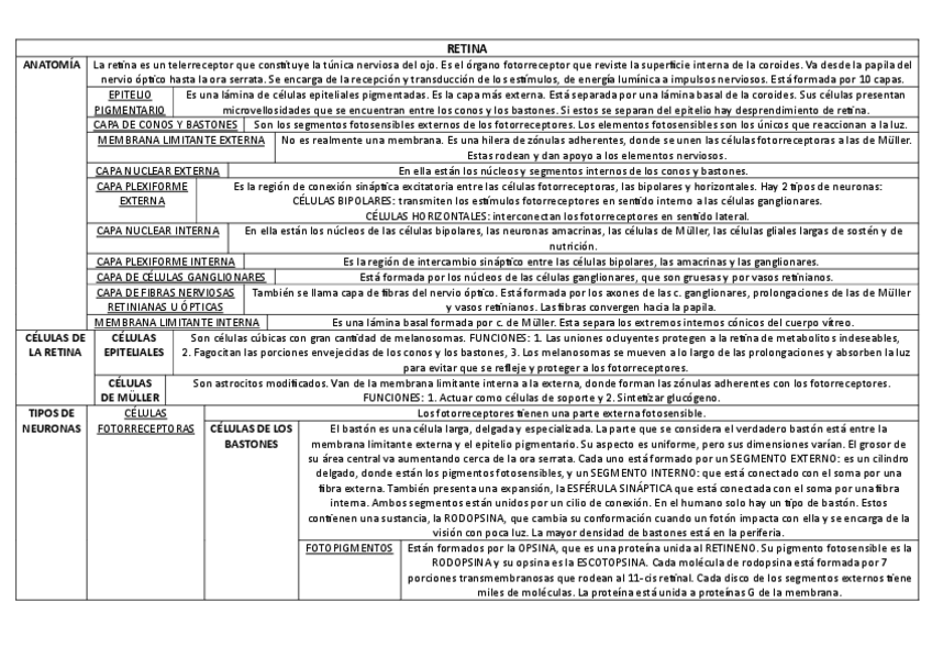 Miniatura del documento RETINA.pdf